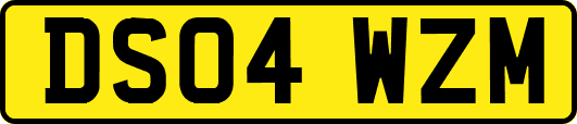 DS04WZM