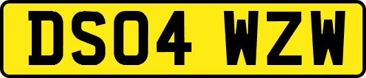 DS04WZW