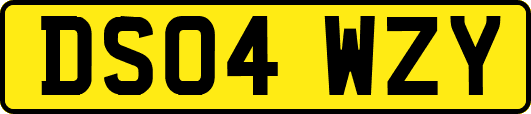 DS04WZY