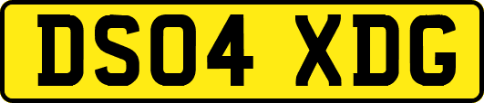 DS04XDG