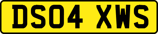 DS04XWS