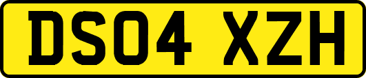 DS04XZH