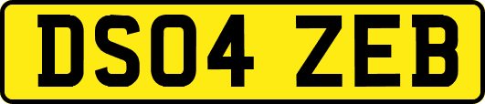 DS04ZEB