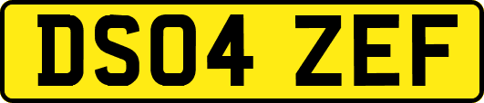 DS04ZEF