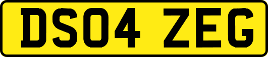 DS04ZEG