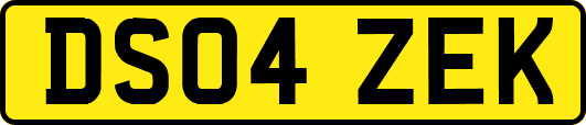DS04ZEK