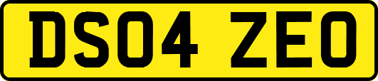 DS04ZEO