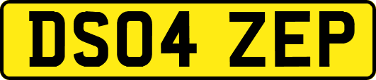 DS04ZEP