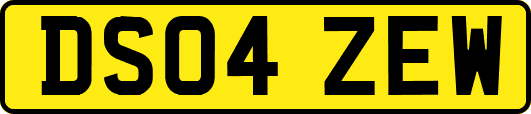 DS04ZEW
