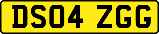 DS04ZGG