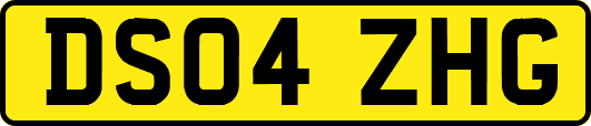 DS04ZHG