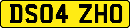 DS04ZHO