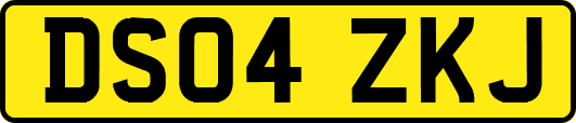 DS04ZKJ