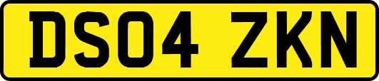 DS04ZKN