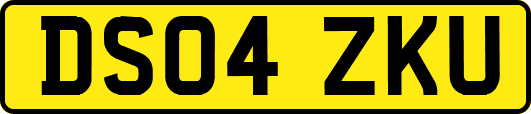 DS04ZKU