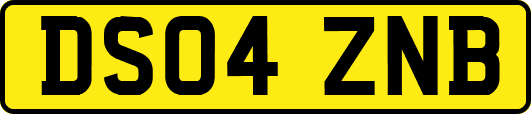 DS04ZNB
