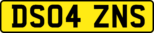 DS04ZNS