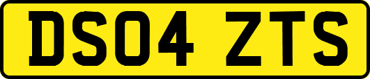 DS04ZTS
