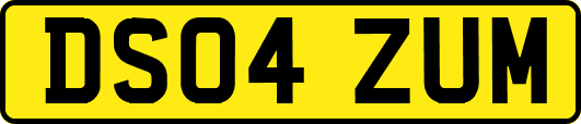 DS04ZUM