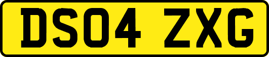 DS04ZXG