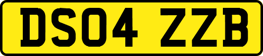 DS04ZZB