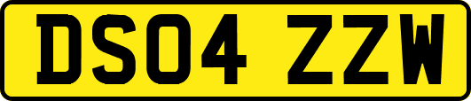 DS04ZZW