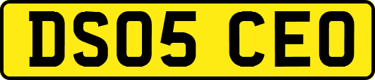 DS05CEO