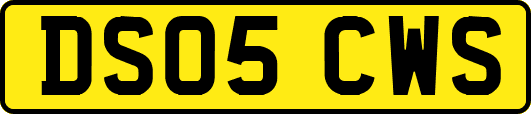 DS05CWS