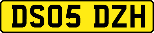 DS05DZH