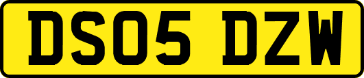 DS05DZW