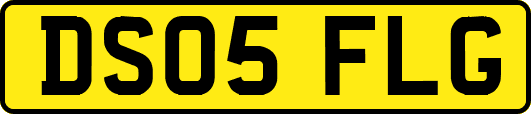 DS05FLG