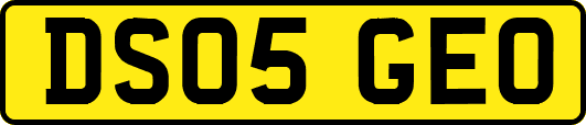 DS05GEO