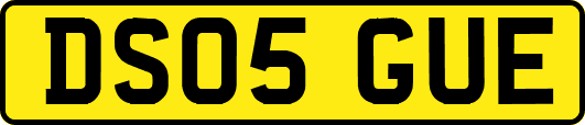 DS05GUE
