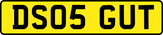 DS05GUT