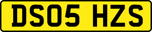 DS05HZS