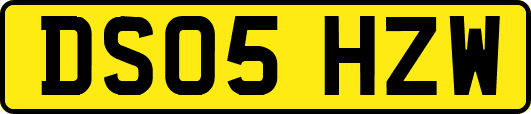 DS05HZW