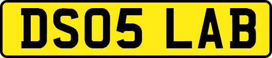 DS05LAB