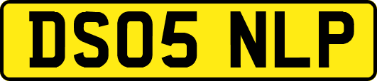 DS05NLP