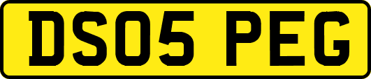 DS05PEG