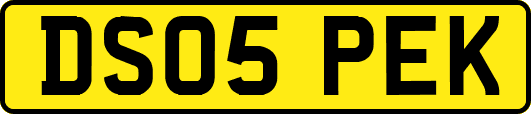 DS05PEK