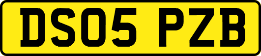 DS05PZB