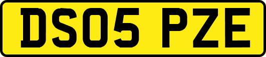 DS05PZE