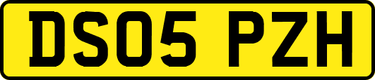 DS05PZH