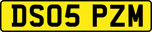 DS05PZM