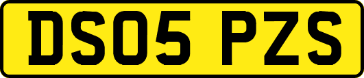 DS05PZS