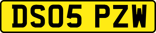 DS05PZW