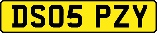 DS05PZY