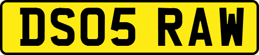 DS05RAW