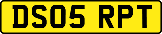 DS05RPT