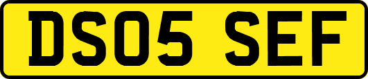 DS05SEF